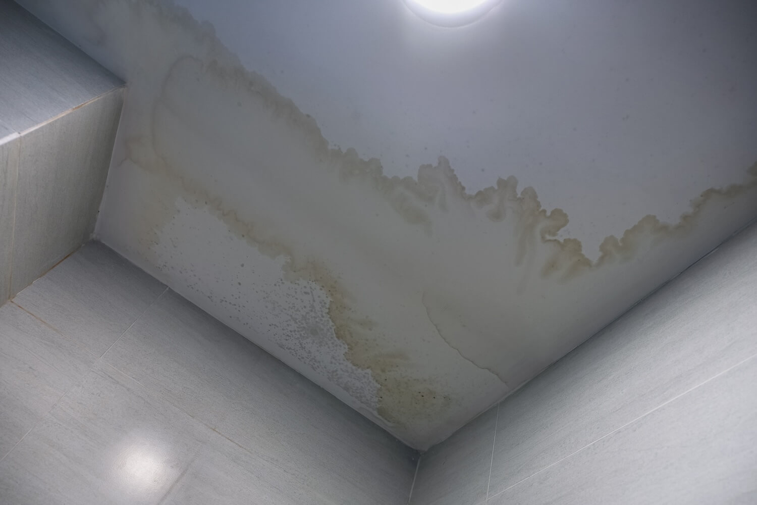 How to Determine Water Damage From a Roof Leak - Tucker Roofing Systems