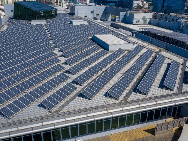 Green Roofing