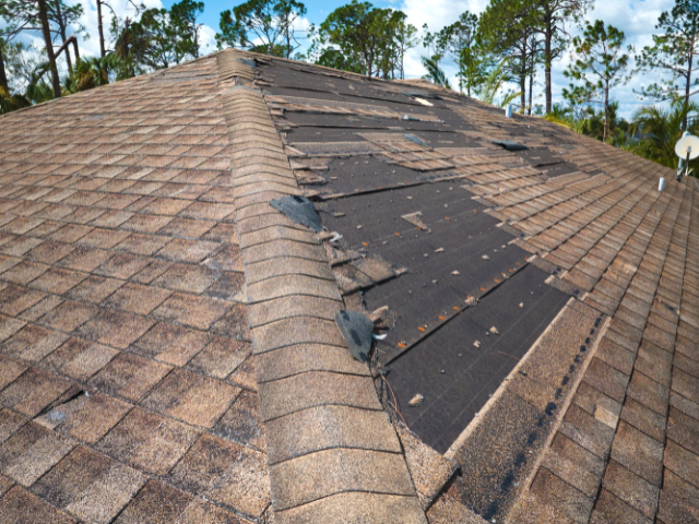 A roof with a leak that needs immediate repair.